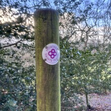 Kate Jackson - The Way of Light