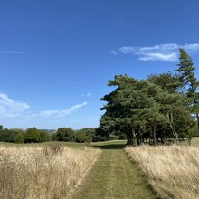 Karen Bennet - Elham Valley Way (United Kingdom) (13027)