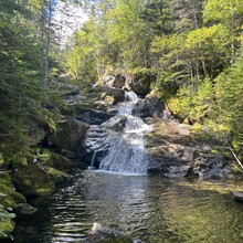 Katie Melsky - Swan Song / Gulf Song Loop (NH)