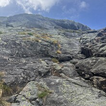 Katie Melsky - Swan Song / Gulf Song Loop (NH)