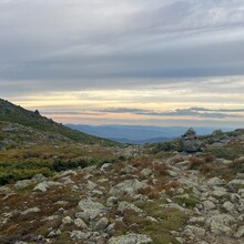 Katie Melsky - Swan Song / Gulf Song Loop (NH)