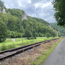 Freddy Blau - Gozwin 42 (Germany)