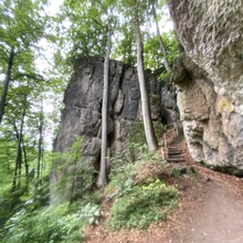 Freddy Blau - Gozwin 42 (Germany)