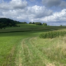 Freddy Blau - Gozwin 42 (Germany)