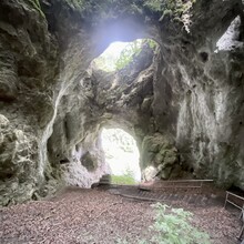 Freddy Blau - Gozwin 42 (Germany)