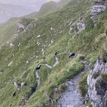 Sebastian Böck - Big 5 Lenzerheide