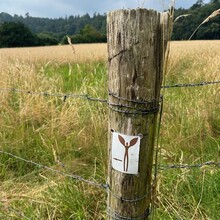 Kato Deckers - Walk of Wisdom (Netherlands)