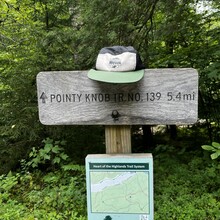 Bob Luther - Pointy Knob Loop (WV)