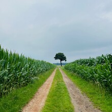 Kato Deckers - Walk of Wisdom (Netherlands)