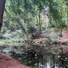 Kato Deckers - Walk of Wisdom (Netherlands)