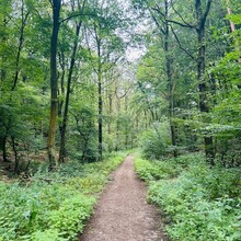 Kato Deckers - Walk of Wisdom (Netherlands)