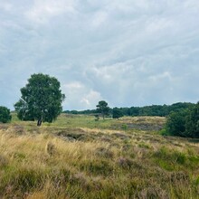 Kato Deckers - Walk of Wisdom (Netherlands)