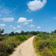 Kato Deckers - Walk of Wisdom (Netherlands)