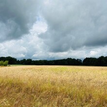 Kato Deckers - Walk of Wisdom (Netherlands)