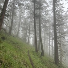 Vincent DiFrancesco - Jack Ash - Sterling Mine Ditch Loop (OR)