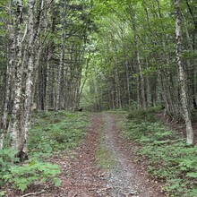 Mark Hemmings, Nicole Leger - Fundy Circuit (NB, Canada)