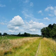 Kato Deckers - Walk of Wisdom (Netherlands)