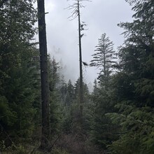 Vincent DiFrancesco - Jack Ash - Sterling Mine Ditch Loop (OR)