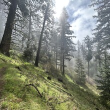 Vincent DiFrancesco - Jack Ash - Sterling Mine Ditch Loop (OR)