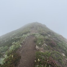 Nina Potrebich - Painted Traverse (WA)