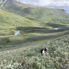 Petter Restorp, Tobias Johansson - 13 Peaks of Sweden