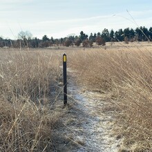 Bill Dittman - Ice Age Trail - Waushara County (WI)