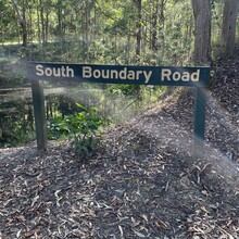 Rebecca Esat - South Boundary Road (QL, Australia)