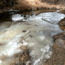 Bill Dittman - Ice Age Trail - Waushara County (WI)