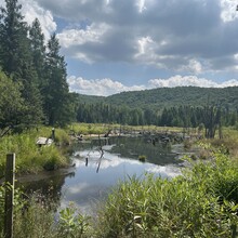 Amanda Hughes - Jordan River Pathway (MI)