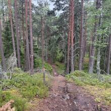 Marcus Polep - Västra Vätterleden (Sweden)