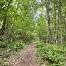 Jason Pageau - Debar Meadows to Debar Mountain (NY)