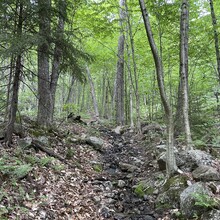 Jason Pageau - Debar Meadows to Debar Mountain (NY)