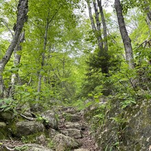 Jason Pageau - Debar Meadows to Debar Mountain (NY)