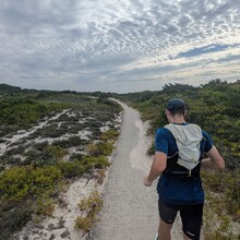 Robert Aguanno, Andrew Shen - Fire Island (NY)