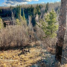 Andrew Warg - Kekekabic Trail (MN)