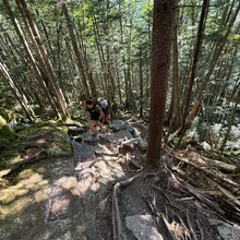 Cara Baskin - White Mountains 100 (NH)