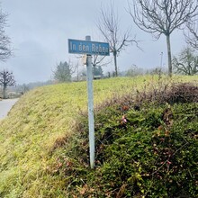 Bianca Bucher - Around Lake of Biel (Switzerland)