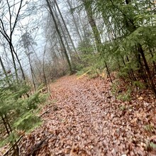 Bianca Bucher - Around Lake of Biel (Switzerland)