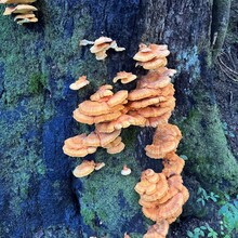 Svetoslav Kolev - I-90 Corridor "Backside" (WA)