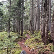 Svetoslav Kolev - I-90 Corridor "Backside" (WA)