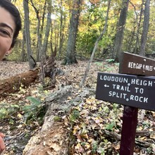 Lisa Musacchio - MD/WV Triple Crown (Loudoun Heights, Maryland Heights, Weverton Cliffs)