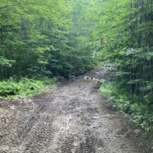 Ella Bredthauer - International Appalachian Trail - Maine Section