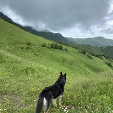 Katya Guryeva - Transcaucasian Trail