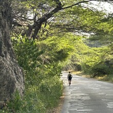 Stephanie Rosebaugh - Aruba Traverse (Aruba)