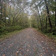 Claudia Vira - Columbia Trail (NJ)