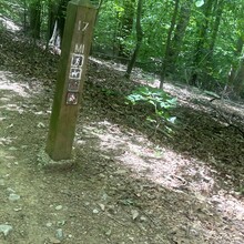 Miranda Forte - Bull Run / Occoquan Trail (VA)