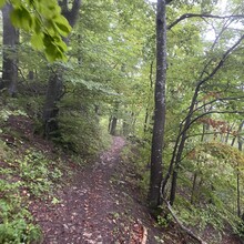 Frederic Blau, Jonas Kübler - Albsteig (HW1) – Etappe 10 – Bad Urach bis Honau