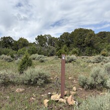 Tracy Thelen - Tabeguache Trail