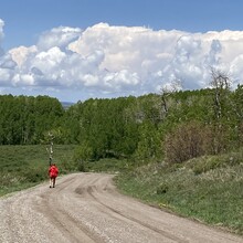 Tracy Thelen - Tabeguache Trail