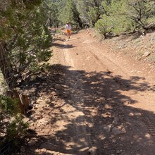 Tracy Thelen - Tabeguache Trail